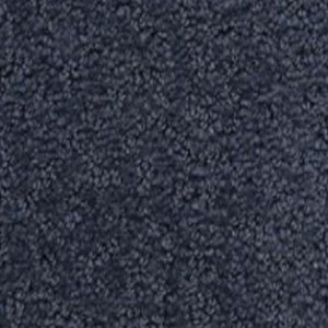 <a href="/flooring/carpet/?_color=blues">Blue</a>